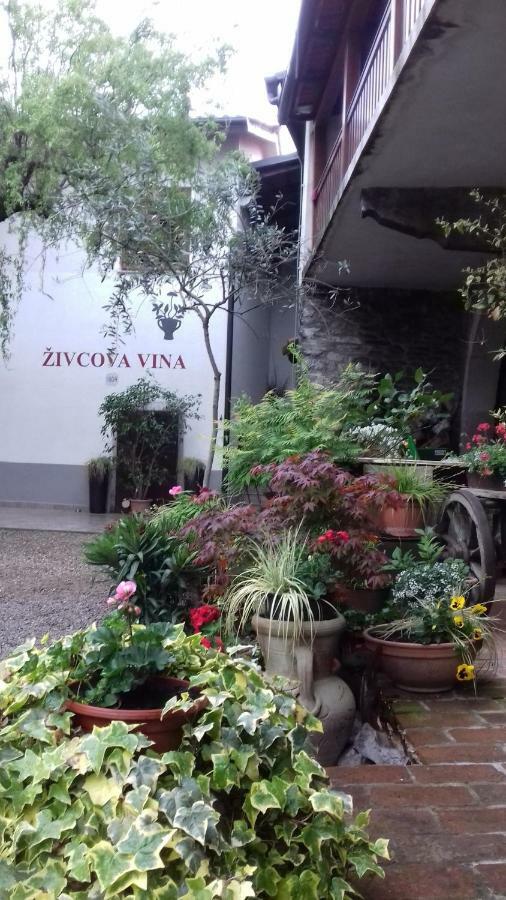 Apartmaji Pri Zivcovih Dutovlje Exterior foto
